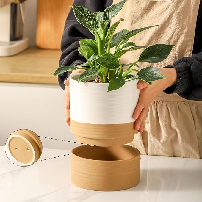 HASENSE Ceramic Plant Pot with Saucer, 6 Inch Planter White Flower Pot for Succulents,for Indoor Plants with Drainage Hole, Snake Plants & Cactus, Modern Decor Gift for Mom
