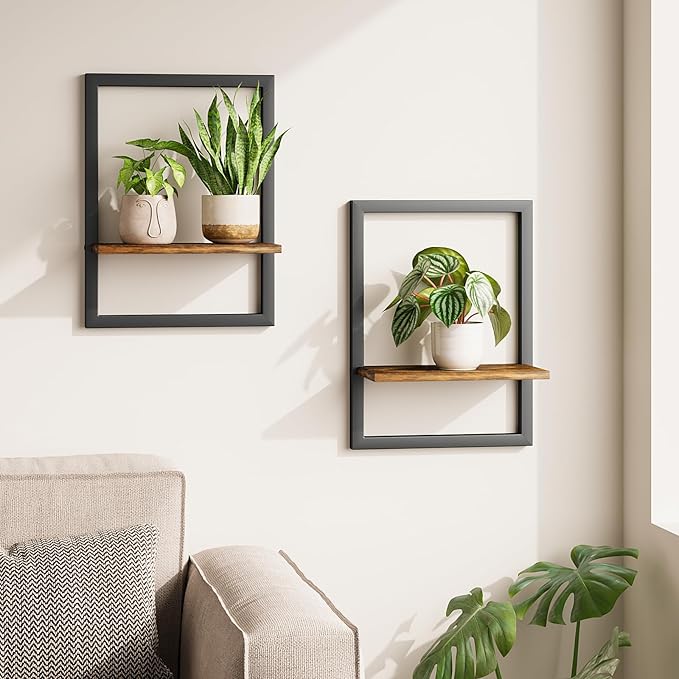 Bamworld Wall Plant Holder Hanging Planters for Indoor Plants Frames Decor Wall Planters for Small Pots Floating Shelves for Living Room Window