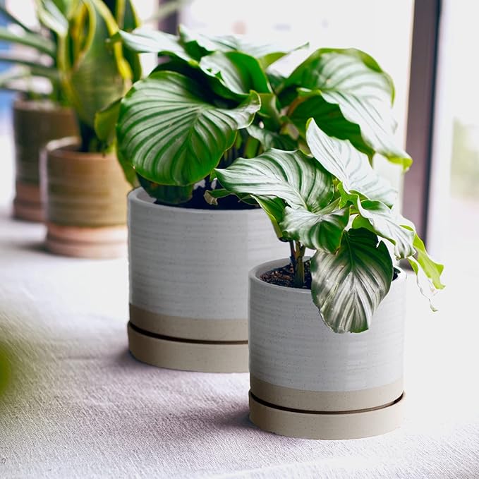 HERDUK 6 + 8 Inch Plant Pots, Ceramic Planter Pot with Drainage Hole & Saucer, Indoor/Outdoor Cylinder Round Planter Pot, Cream & Beige