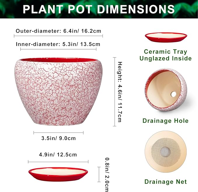 Ceramic Plant Pots - 6 Inch Pots for Plants Indoor Outdoor, Modern Planter with Drainage Hole and Tray, Round Decorative Flower Pot, Home Office Decor, House Warming Gifts, Crackle Red