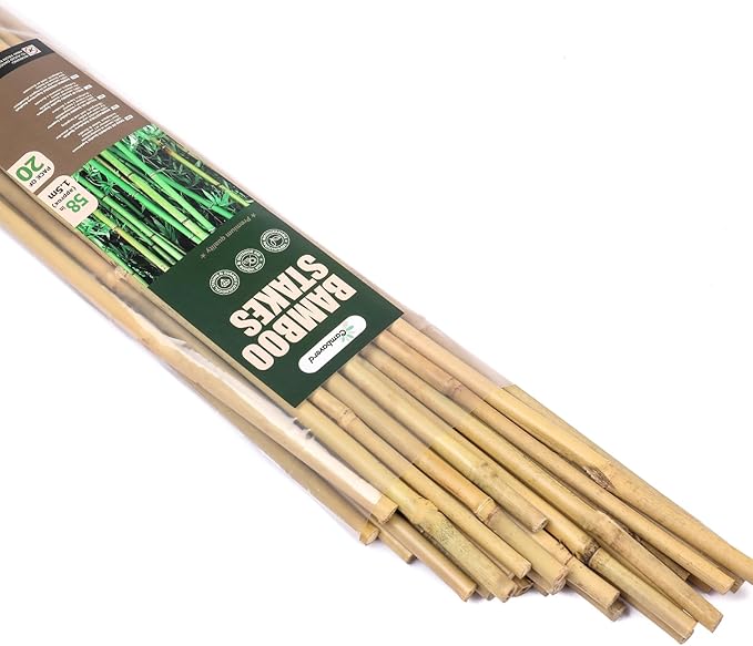 Cambaverd Bamboo Stakes for Plants, Natural Bamboo Plants Stakes 5 Feet, Garden Stakes for Climbing Plants Tomatoes, Beans, Potted Plants - 20Pcs Bamboo Poles (58in, Approx 5FT)