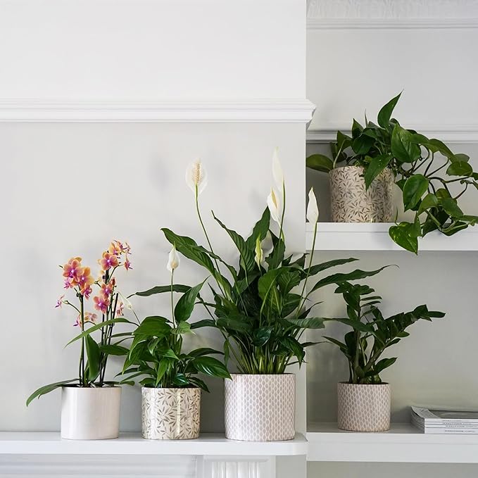 Ivyline Planter, Ceramic, Taupe Garland, 13 x 15cm
