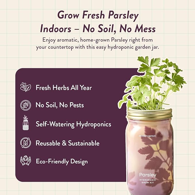 Modern Sprout Mason Garden Jar - Self-Watering Hydroponics Growing System Kit with Organic Herb Seeds - Jar Planter for Indoor Herb Garden - Seed Starter Kit - Home Decor & Gifting - Rosemary