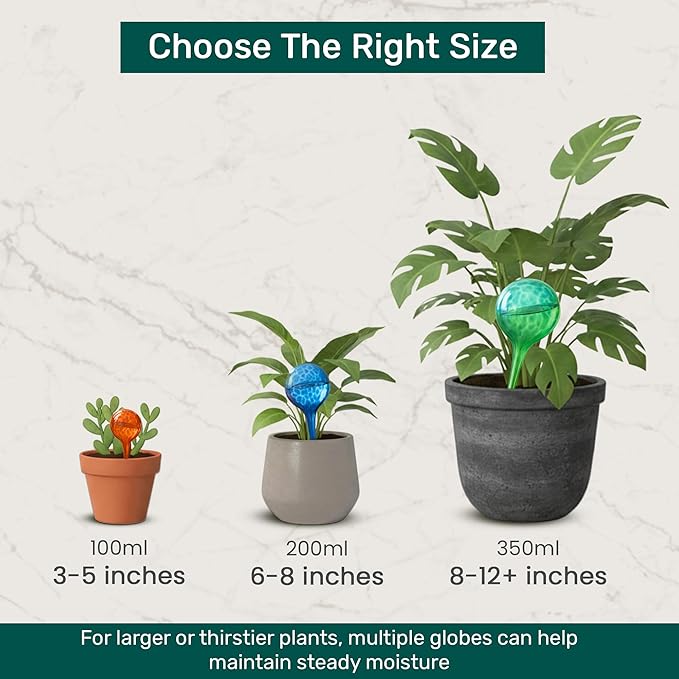 Little Green Leaf Automatic Plant Watering Globes Self Watering Planter Inserts (Set of 2) | Hands Free Clear Glass Bulbs | Planter Spikes to Support Indoor & Outdoor Plant Health (200ml)