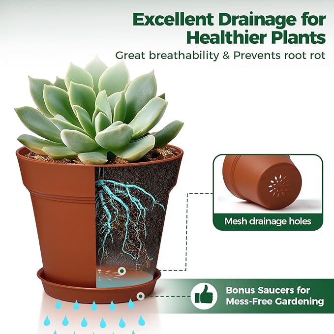 T4U 6 Inch Plant Pot 8-Pack, Plastic Planter with Drainage Hole and Saucer, Decorative Nursery Pots Bulk for African Violet, Snake Plant, Succulent, Herb and Plants Indoor (8 Pcs 6" Pots)
