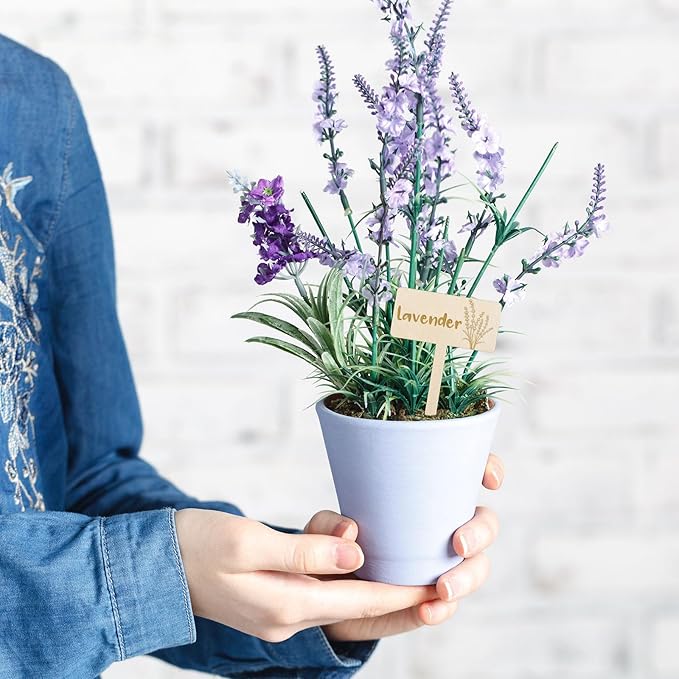 JarThenaAMCS 24Pcs Wooden Plant Label Signs 12 Styles Spring Summer Garden Herb Markers Wood T-Type Tags Reusable Plant Stake Tags with Names for Nursery Indoor Outdoor Garden Decor