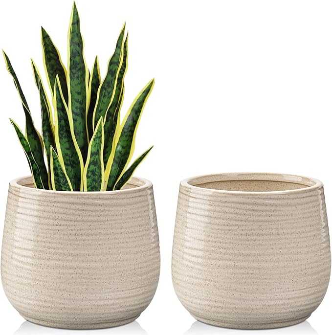 Ceramic Plant Pots 6 Inch Set of 2, Flower Plants Pot with Drainage Holes White Planter Garden Pot for Succulent Cactus Home Decoration Gift Indoor Outdoor