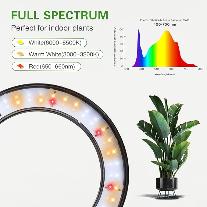 Grow Light with Stand for Indoor Plants, Dual Head Full Spectrum Floor Plant Light for Large Tall Plants, 16.5-68in Adjustable Height, 3/9/12H Timer, Dimmable, Modern Ring Grow Lamp for Home Décor