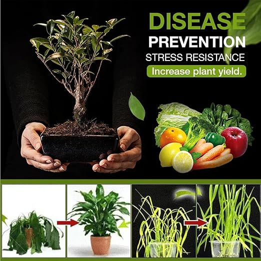 Yegbong Soil Activator, Soil Pro Activator, Nauticos SoilActivator, Organic, Water-Soluble Formula for Optimal Nutrient Uptake & Root Development, Enhance Growth for Vegetables & All Plants (3)