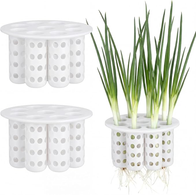 2 Pack Green Onion Planter Scallion Grower Seed Sprouting Kit Compatible with Regular Mouth Mason Jar for Windowsill Garden, Hydroponics, and Propagation Hydroponics Enthusiasts (White)