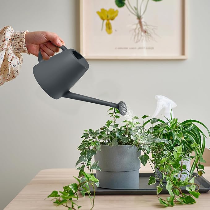 Indoor and Outdoor Watering Can - Long Spout -1/2 Gallon (64oz) - Grey