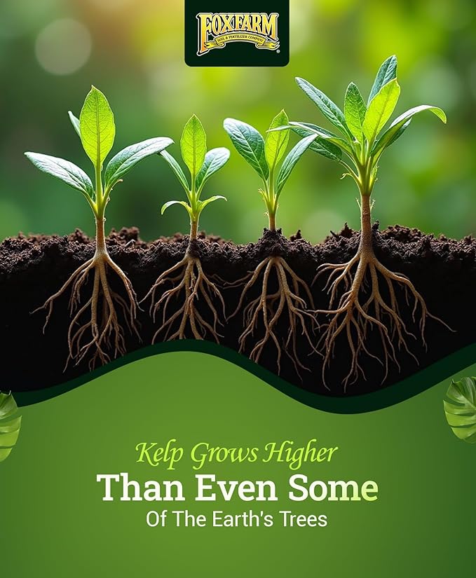 FoxFarm Bush Doctor Kelp Me Kelp You Seaweed Plant Food - 0.5-0-0.5 Liquid Kelp Fertilizer for Gardens, Hydroponic & Drip Irrigation Systems - Nutrient Uptake & Plant Growth - 1 Gallon
