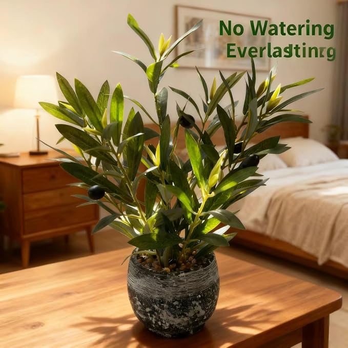 Indoor Faux Olive Plant 12 inch Artificial Silk Leaves in Elegant Planter Perfect Fake Olive Branches with Realistic Trunk and Lifelike Fruits Tabletop Greenery Decor for Home Office