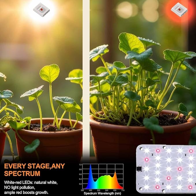 DOMMIA Panel Grow Light for Indoor Plants, 20W Ultra-Thin Full Spectrum LED Grow Light for Shelf & Cabinet, Dimmable with 6/12/16H Timer, Cold White, 1-Pack