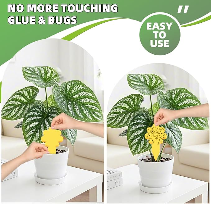 Sticky Yellow Fungus Gnat Traps, Easier to Use, No Touching Glue Or Bugs, Targets Species for Gnat, Fruit Fly & Pests, Three Thoughtful Designed, High Capture Rate, Kid & Pet Safe, 99 Traps