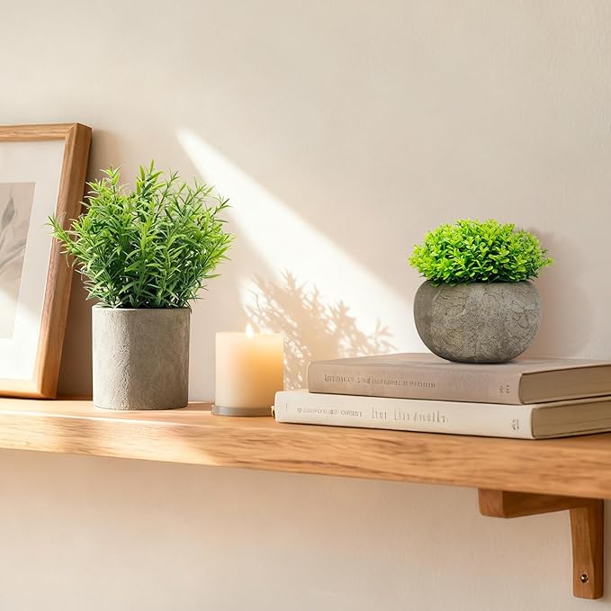 AUUGUU Artificial Potted Plants Faux Greenery in Cement Pots for Shelf, Bookshelf, Office or Home Decor, Small Decorative Fake Plants for Modern Indoor Display
