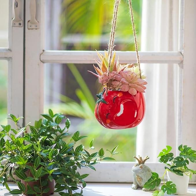Cute Plant Pot - Funny Hanging Planter Gardening Gifts for Plant Lovers Women Mother House Warming - Smiley Red Planter for Indoor Outdoor
