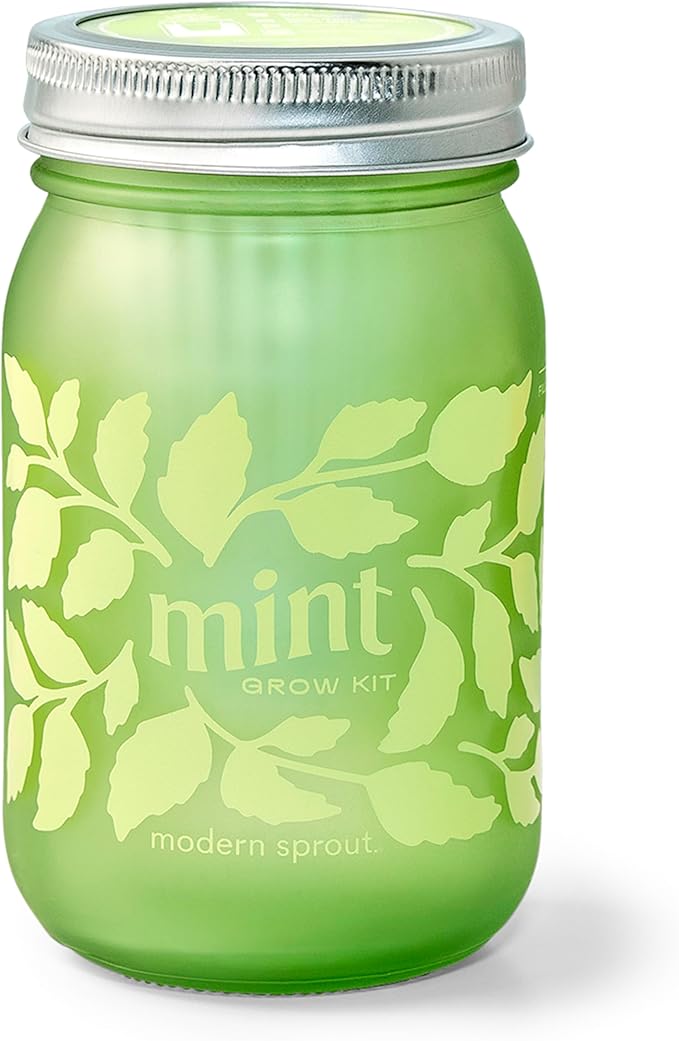 Modern Sprout Mason Garden Jar - Self-Watering Hydroponics Growing System Kit with Organic Herb Seeds - Jar Planter for Indoor Herb Garden - Seed Starter Kit Mint+Rosemary+Poppy
