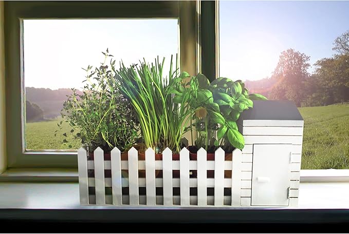 Oliphant Indoor Allotment Gift Set Herb Garden
