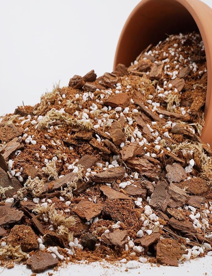TOYPOPOR Orchid Potting Mix for Repotting with Moss Pine Bark Mulch Perlite Stone and Coco Peat Natural Ingredients, Orchid Bark Potting Mix Orchid Repotting Kit Drainage Indoor Potting Medium 1qt