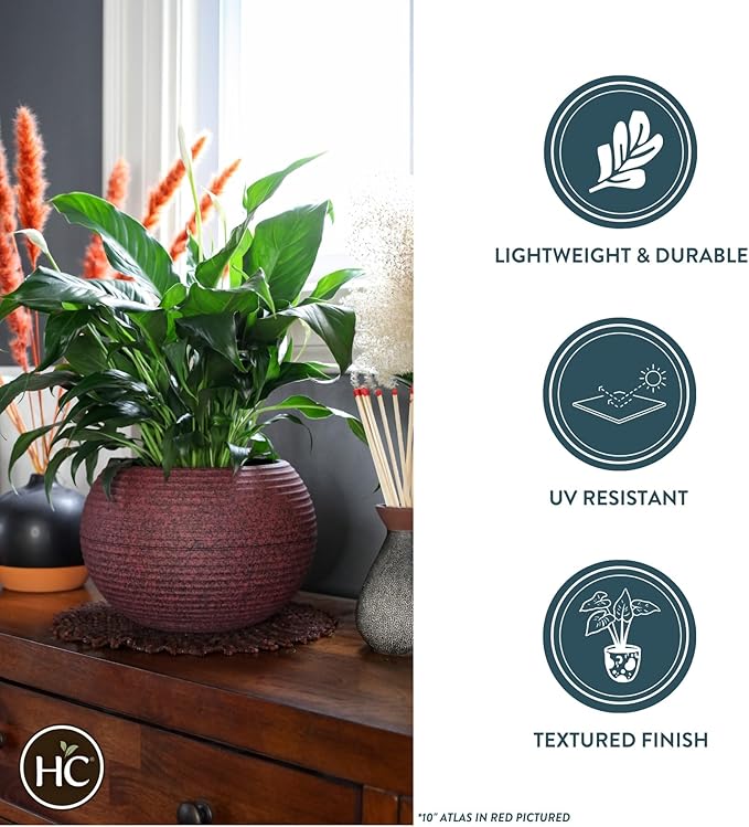 The HC Companies 10 Inch Atlas Sphere Planter - Lightweight Decorative Round Indoor Outdoor Plastic Plant Pot for Herbs and Flowers, Gray