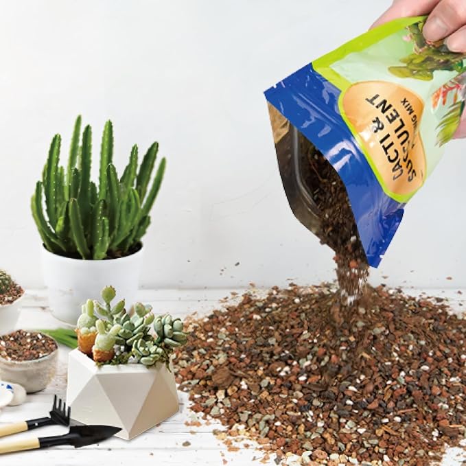 Doter Succulent & Cactus Soil Potting Mix 1qt, Chunky Dirt with Fast Draining Fits for Bonsai, Terrarium and Houseplant