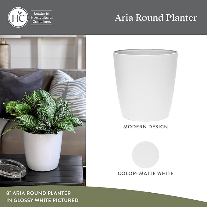 The HC Companies Aria Round Self-Watering Pot - Lightweight Plastic Planter for Herbs & More - Durable Plant Pots for Indoor Plants & Outdoor Plants (6” Matte White, Pack of 1)