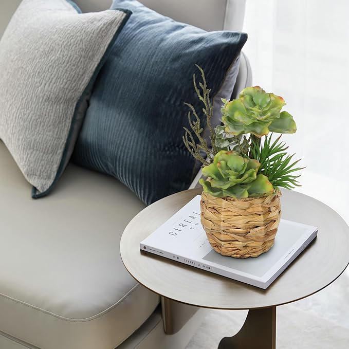 Villa Como 10" Large Succulents Plants Artificial in Wooden Pots, Potted Faux Succulent Arrangement with Woven Pots, Fake Desk Succulents Plants for Home Bathroom Shelf Table Indoor Decor