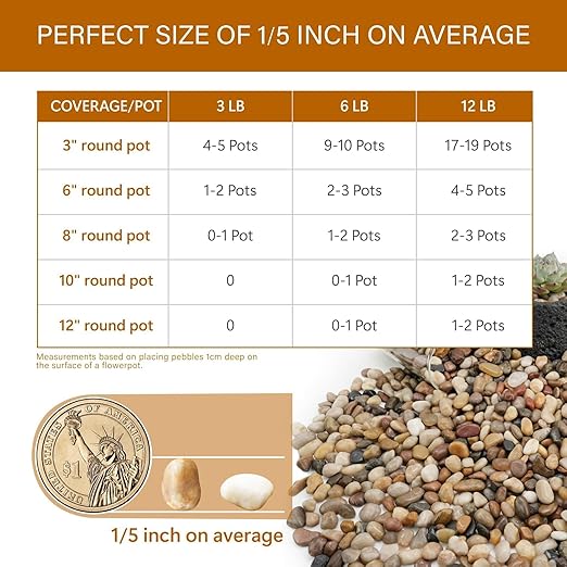 NUPICK 3lb River Rocks for Plants Indoor, 1/5 Inch Mixed Pebbles for Vase Fillers, Decorative Pea Gravel for Fish Tank, Natural Polished Stones for Succulent, Bonsai, Landscaping, Bird Baths