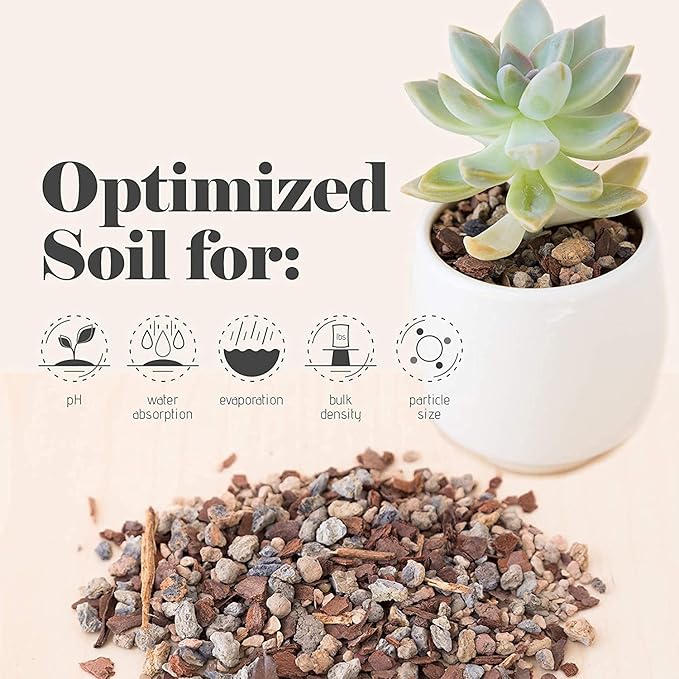 Bonsai Jack Succulent, Cactus and Bonsai Soil - Jacks Gritty Mix - 2 Gallons – Fast Draining – Fight Root Rot – Optimized pH