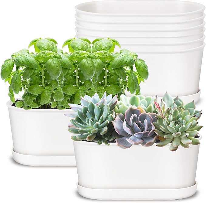 Oliz Set of 8 White Oval Window Sill Planters with Drainage Holes and Trays（7 Inch） for Herbs Basil Orchids Succulents, Modern Herb Garden Planter for Indoor/Outdoor Plants