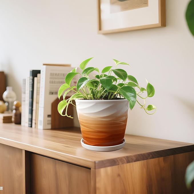 8 Inch Plant Pot, Ceramic Planter with Drainage and Saucer,Ceramic Planters for Indoor Plants, 8 Inch Garden pots(Khaki + White)