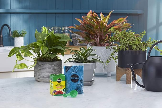Miracle-Gro Water Soluble All Purpose Plant Food - Fertilizer For All Indoor or Outdoor Plants including Roses, Flowers, Vegetables, Houseplants, Trees, and Shrubs, 8 oz. (2-Pack)