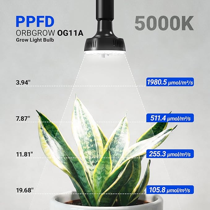 Barrina Orbgrow OG11A Grow Light Bulbs for Indoor Plants, Integrated Dimming & Timing, 5000K 11W(100 Watt Equiv), E26 Plant Light Bulb, Full Spectrum, High PPFD for Seeds and Greens, 1 Pack, Black