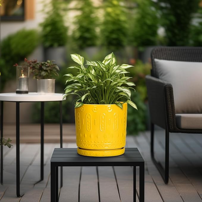Eightpot 6 Inch Pots for Plants, Ceramic Pots for Plants with Drainage Holes and Tray, Round Planter for Indoor Outdoor, Modern Plant Pot, Decorative Flower Pot, Table Decor, Teacher Gift, Yellow