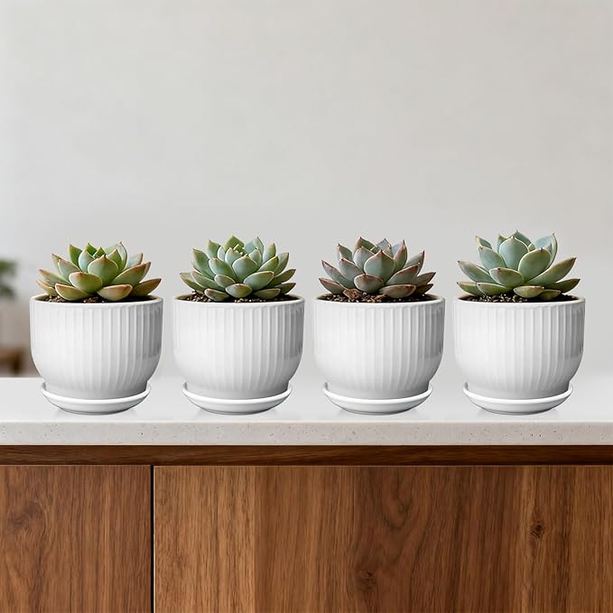 5.5 Inch Plant Pot, Ceramic Planter with Drainage and Saucer，Ceramic Pots for Plants, Indoor Plant pots，Succulent Orchid Flower Pot(Pure White,4 Pack)