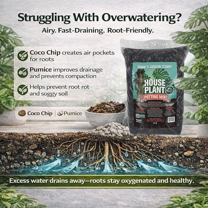 House Plant Potting Mix 16 qt