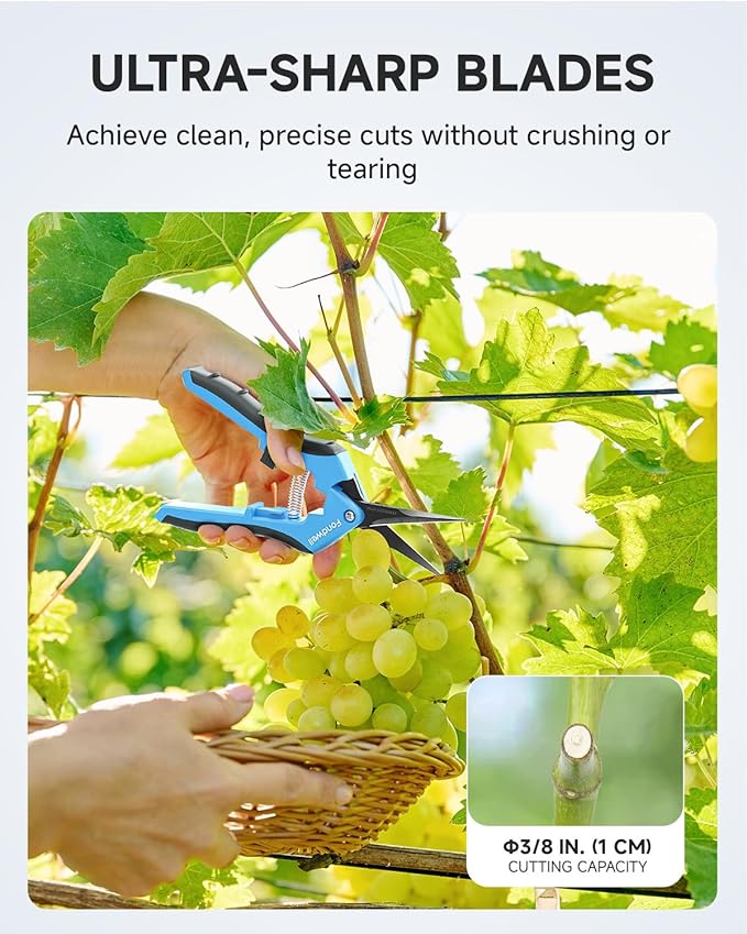 Fondwell 6.5" Trimming Scissors Garden Snips: Small Pruning Shears with Non-Stick Sharp Blade - Ideal for Precise Cutting and Shaping