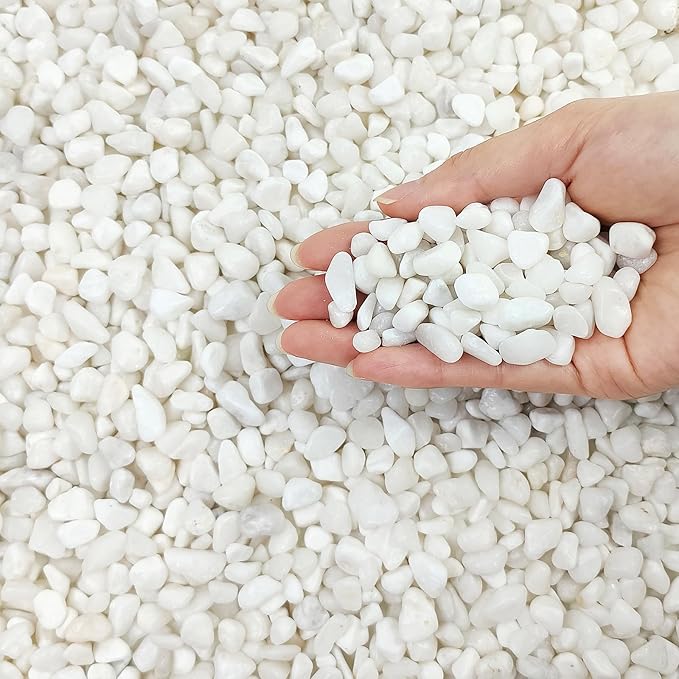 FANTIAN 2 Pounds White Pebbles for Indoor Plants, 3/8 Inch Polished White Rocks, Decorative River Rocks for Potted Plants Vase Cactus Bird Bath and Outdoor Garden Landscaping