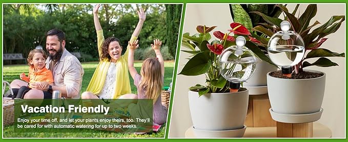 DI QIU REN 6 Pack 19oz Large Self Watering Globes, Automatic Plant Waterer with Glass Stopper - Slow Release Bulbs & Planter Insert, Top-Fill Water Spikes for Indoor Plants (6, Clear)