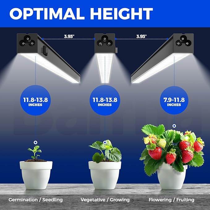 Barrina T5 Grow Lights, 5000K Full Spectrum Daylight White, LED Grow Light Strips, 1FT Plant Growing Lamp with Magnetic Bar, Plant Lights for Indoor Plants, Greenhouse, Black Cover, Linkable, 8 Packs