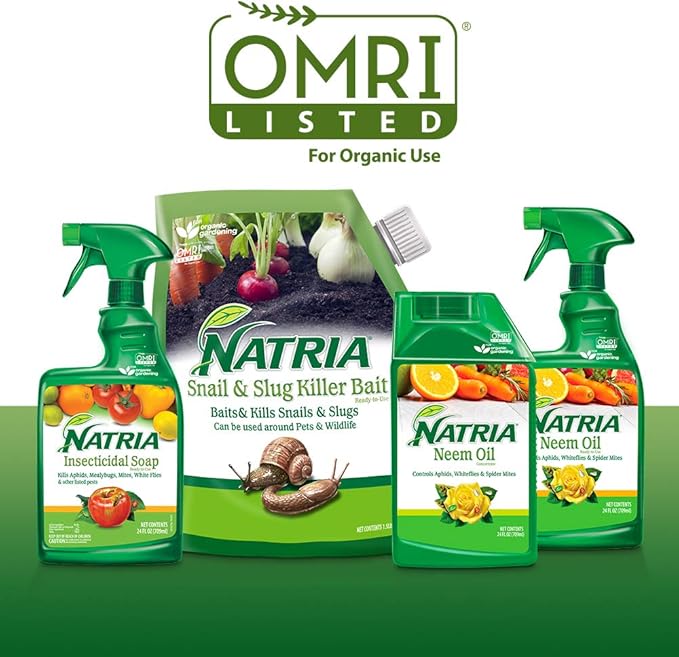 NATRIA Insecticidal Soap, Ready-to-Use Garden Bug Treatment, Insect Killer for Indoor and Outdoor Plants, 24 Ounce (Pack of 2)