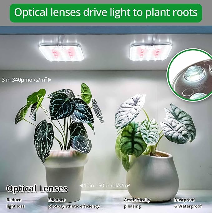 DOMMIA Full Spectrum LED Grow Light for Indoor Plants, 2 Panels 10W with 6/12/16h Timer Dimmable Plant Lights for Flower Veg Plant Growth USB, Netural White, 2-Pack