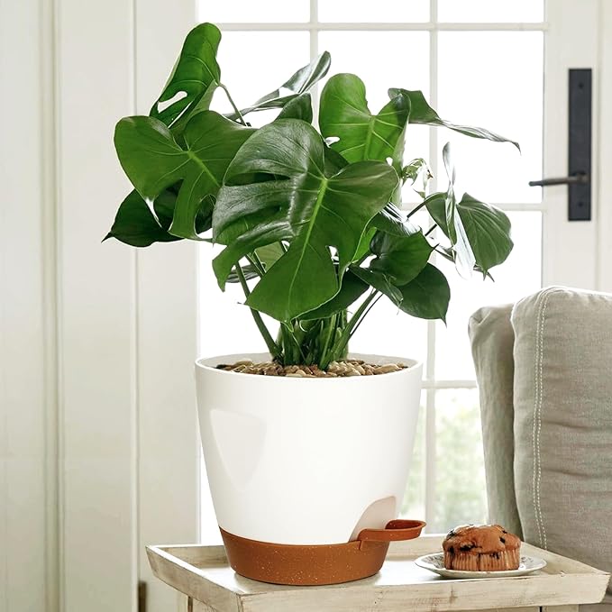 5-Pack Plant Pots with Drainage 7/6.5/6/5.5/5 Inch Self Watering Pots for Indoor Outdoor Plants, Plastic Flower Pots with Drainage Holes and Removable Saucers, Plant Pots with Wicking Rope (White)
