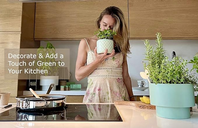 Indoor Herb Garden Starter Kit, 10 Gardening Seed Pack with Plant Markers, Growing Pots, Soil Discs, Wooden Box, DIY Kits for Growing Herbs Basil Thyme Parsley Cilantro