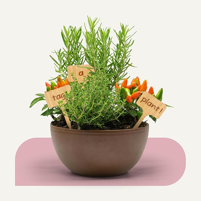 Bamboo Plant Labels & Garden Tags | 7" Long T-Type Wooden Garden Markers for Labeling Herbs, Seedlings, Vegetables, Cheeses, Appetizers, Desserts | 50 pcs