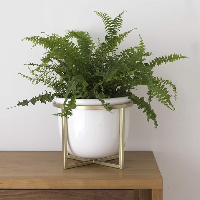 LA JOLIE MUSE Ceramic Flower Plant Pot with Stand - 6.7 Inch White Indoor Planter Pot with Gold Metal Stand for Herbs Orchids Cacti Succulents