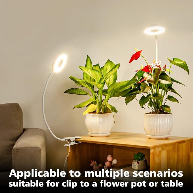 LORDEM Grow Light,Full Spectrum Pot Clip LED Plant Growth Light with Auto On/Off Timer 4/8/12H,Plant Lamp with 360°Rotatable Gooseneck, 4 Dimmable Brightness, Ideal for Small Indoor Plants, 2 Pack