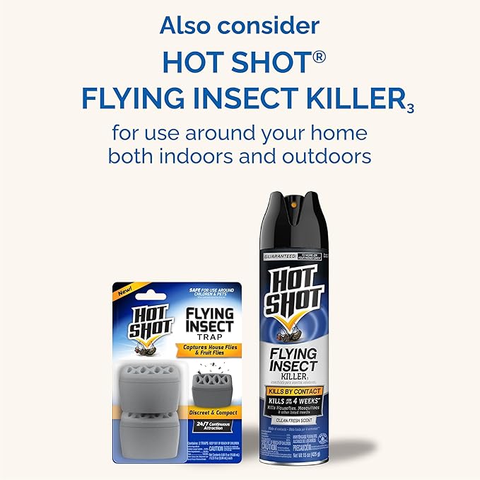 Hot Shot Flying Insect Trap, Discreet, Hassle-Free Trap Attracts, Captures House and Fruit Flies, 24/7 Continuous Attraction, No Plug-in Or Electricity Needed, 6 Count
