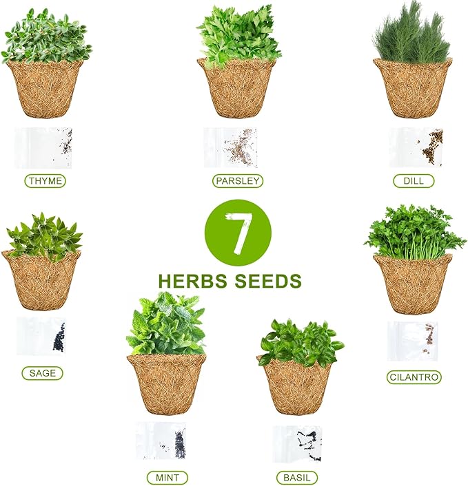 Indoor Herb Garden Starter Kit, Ushine 7 Herb Seeds Grow Kit Basil, Cilantro, Parsley, Mint, Dill, Thyme,Sage, DIY Kitchen Plant Grow Kit for Growing Herb Seeds Perfect Gardening Gifts